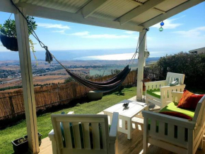 Zachi vew house